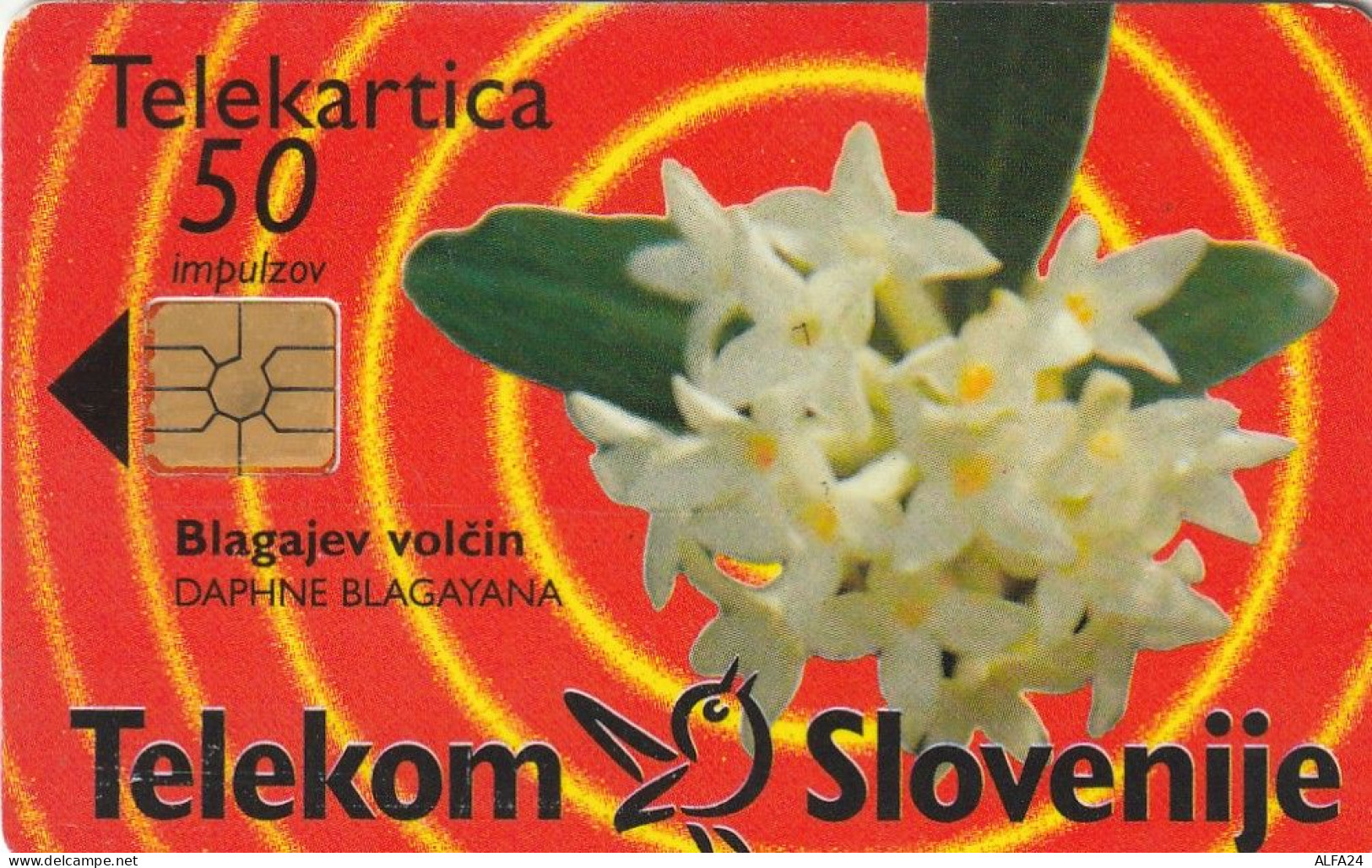 PHONE CARD SLOVENIA (E48.24.1 - Slovénie