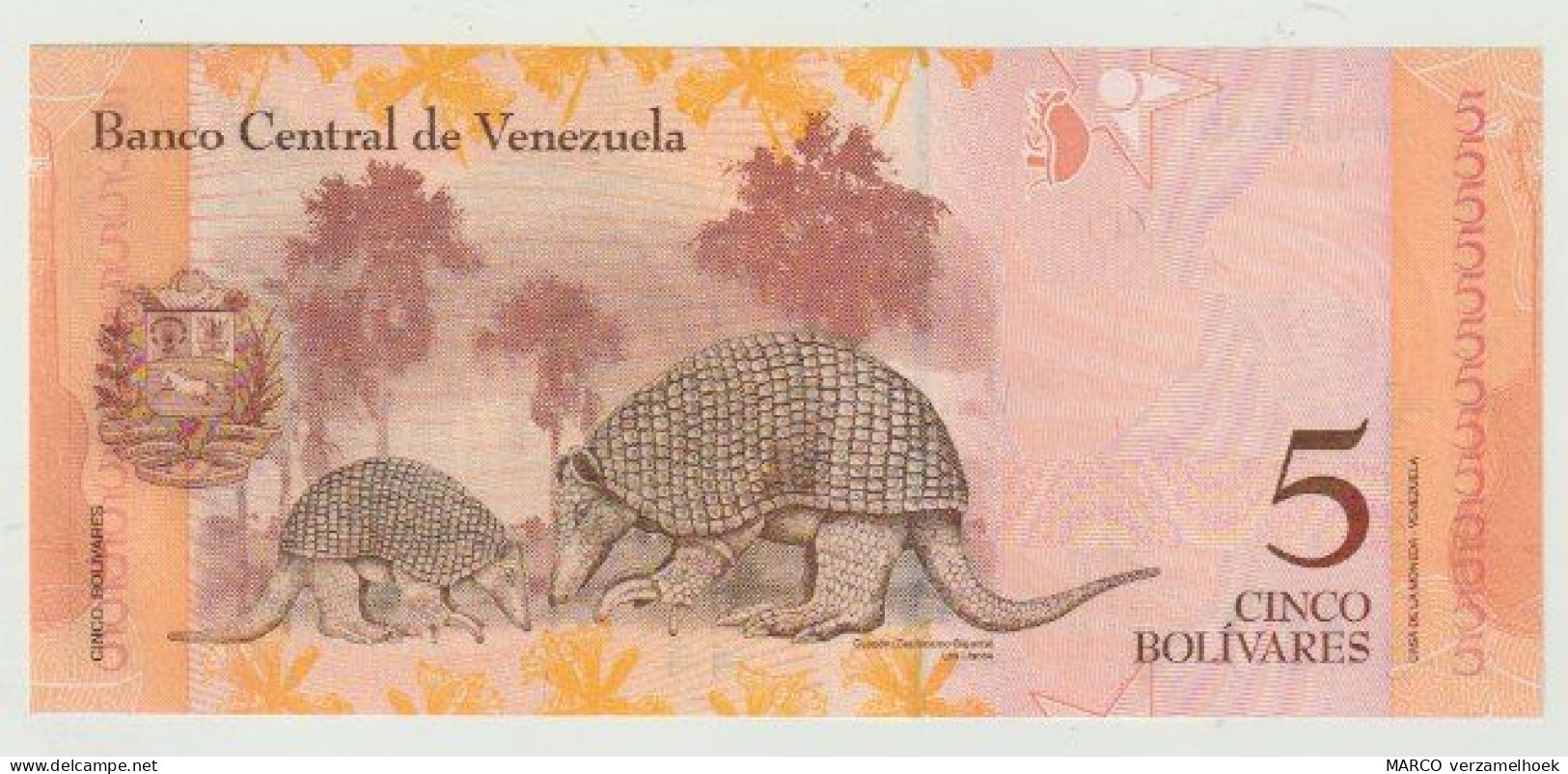 Banknote Banco Central De Venezuela 5 Bolivares 2013 UNC - Venezuela