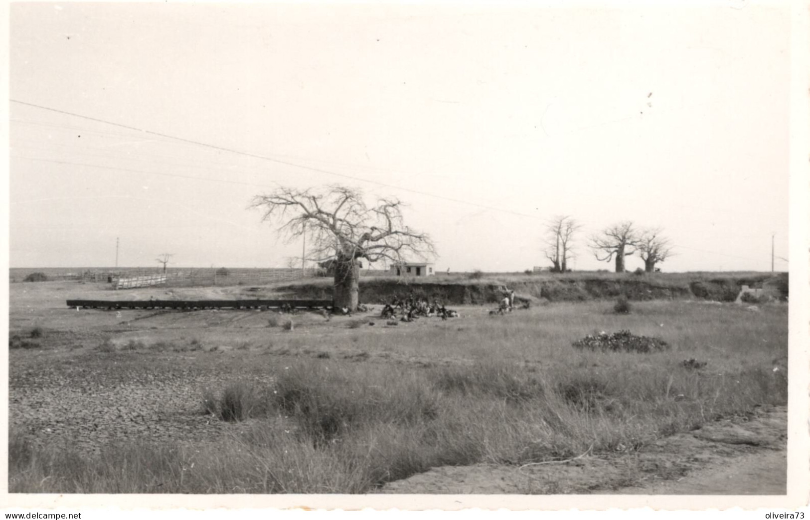 MOÇAMBIQUE ??? ( REAL FOTO) - Guinea-Bissau