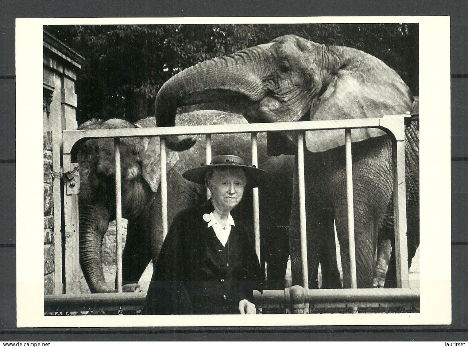 USA 1986 American Poet Critic Translator, And Editor Marianne Moore, Bronx, New York (1953), Unused Elephant Elefant - Femmes Célèbres