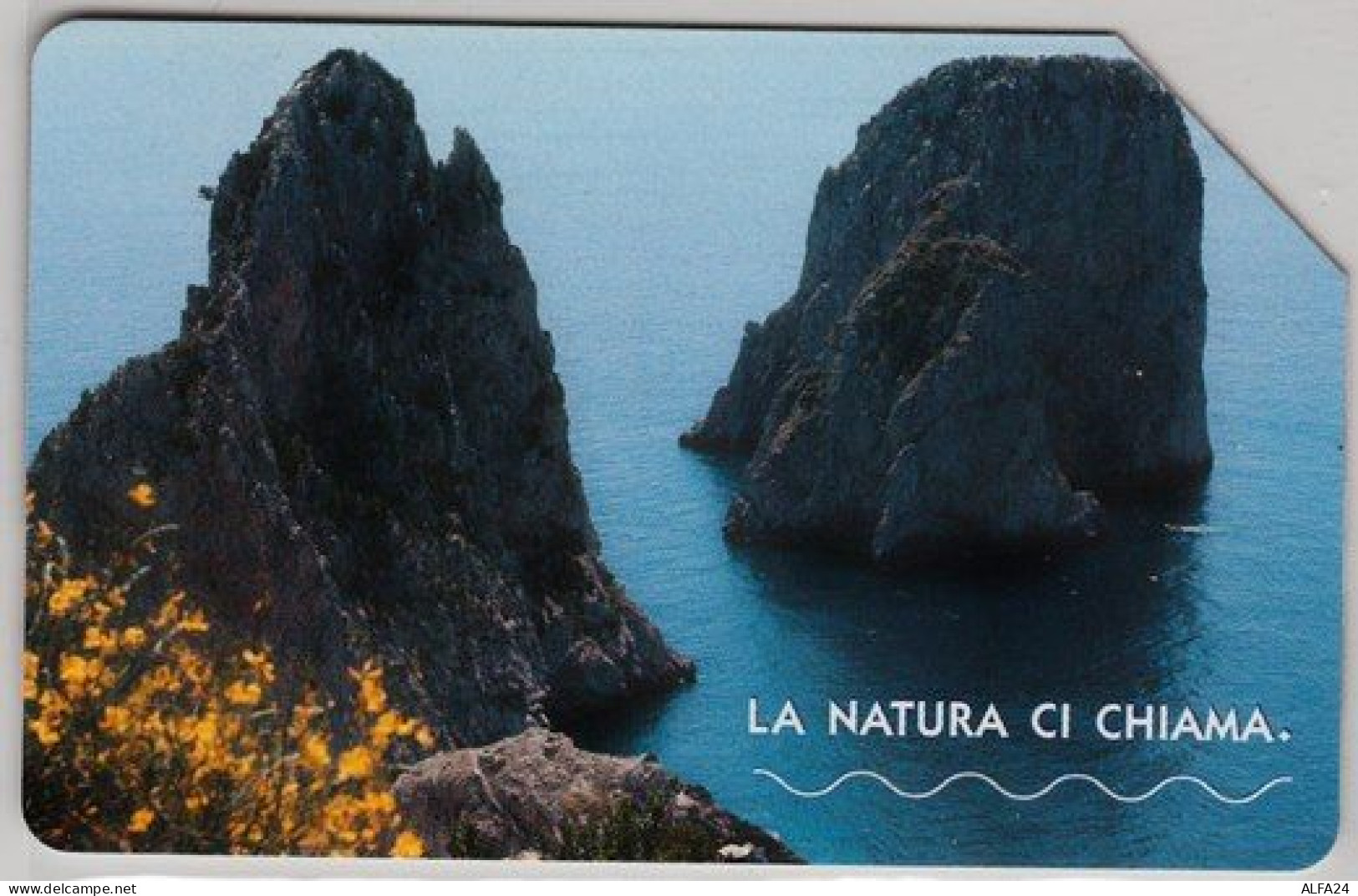 SCHEDA TELEFONICA USATA 457 NATURA CAPRI TIR.505 30-6-06 - Pubbliche Speciali O Commemorative