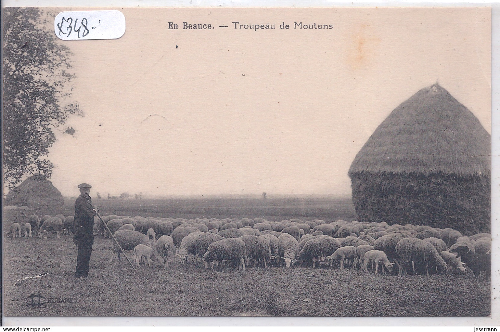 EN BEAUCE- TROUPEAU DE MOUTONS - Viehzucht