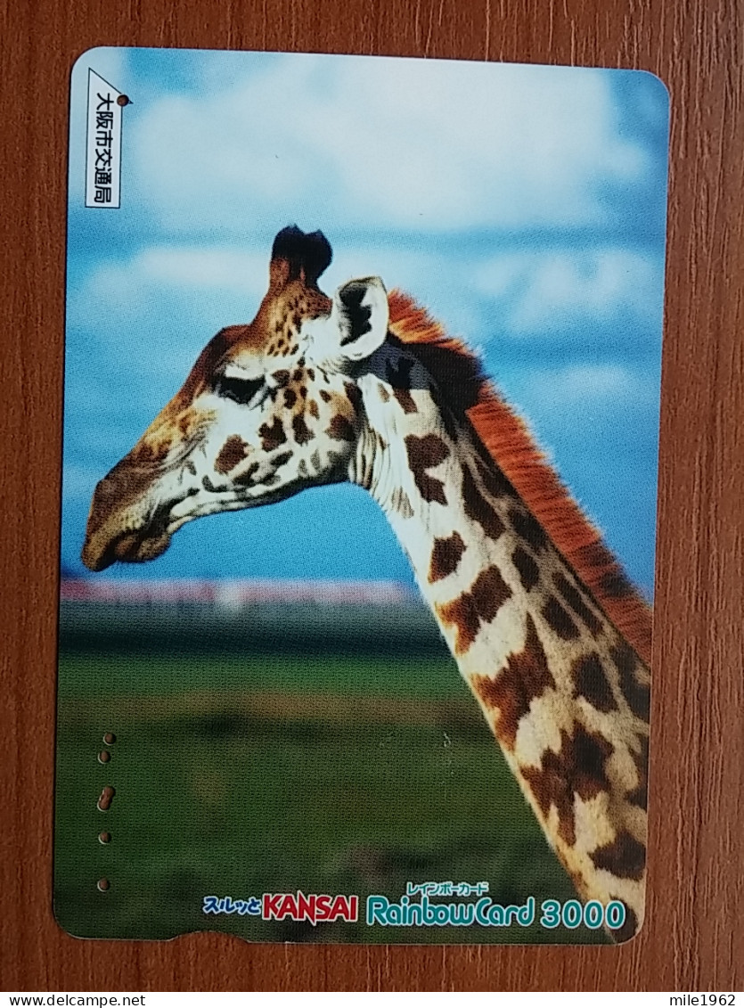 T-427 - JAPAN, Japon, Nipon, Carte Prepayee, Prepaid, Animal Giraffe, Girafe - Dschungel