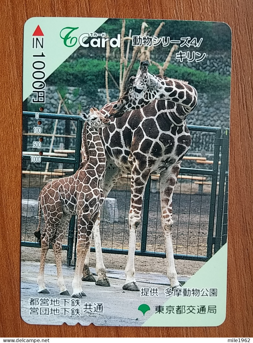 T-427 - JAPAN, Japon, Nipon, Carte Prepayee, Prepaid, Animal Giraffe, Girafe - Dschungel