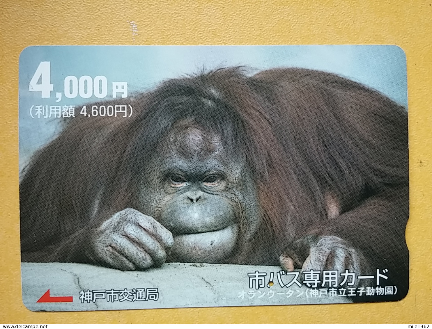 T-427 - JAPAN, Japon, Nipon, Carte Prepayee, Prepaid, Animal Monkey - Dschungel