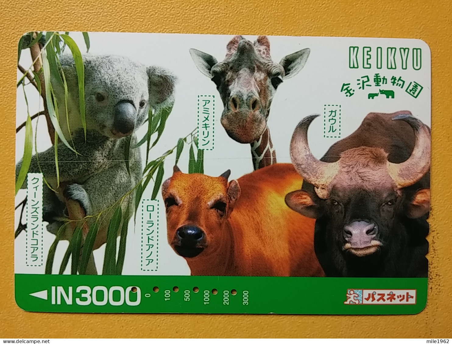 T-428 - JAPAN, Japon, Nipon, Carte Prepayee, Prepaid, Animal - Jungle