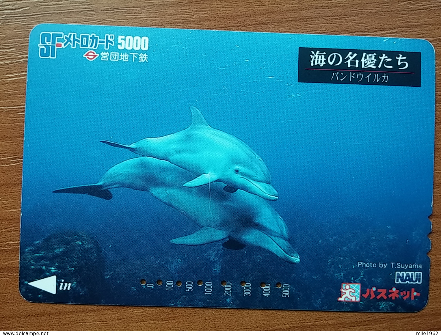 T-428 - JAPAN, Japon, Nipon, Carte Prepayee, Prepaid, Animal Dolphine, Dauphine - Fische