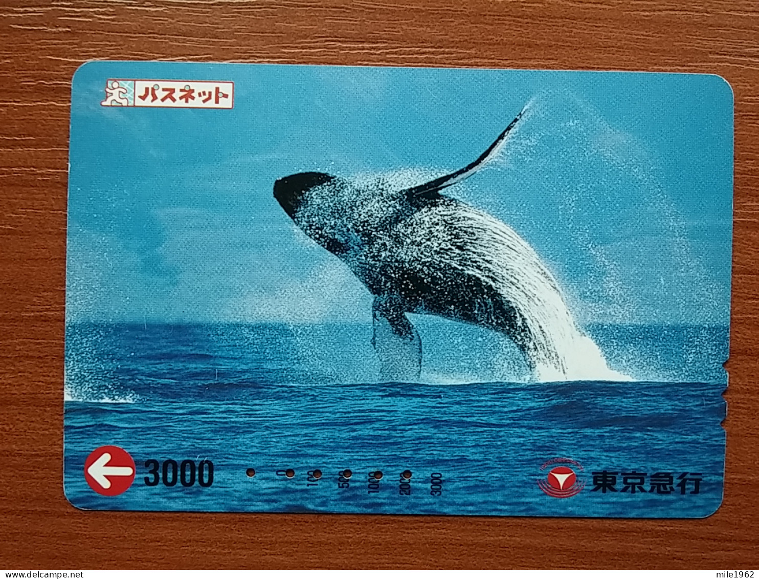 T-428 - JAPAN, Japon, Nipon, Carte Prepayee, Prepaid, Animal Fish, Poison - Peces