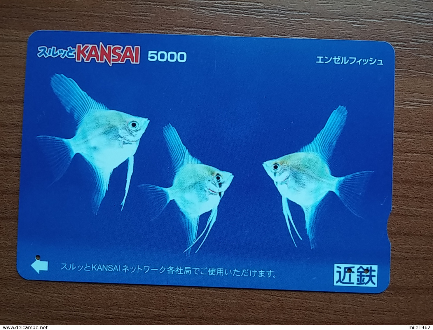 T-428 - JAPAN, Japon, Nipon, Carte Prepayee, Prepaid, Animal Fish, Poison - Fische