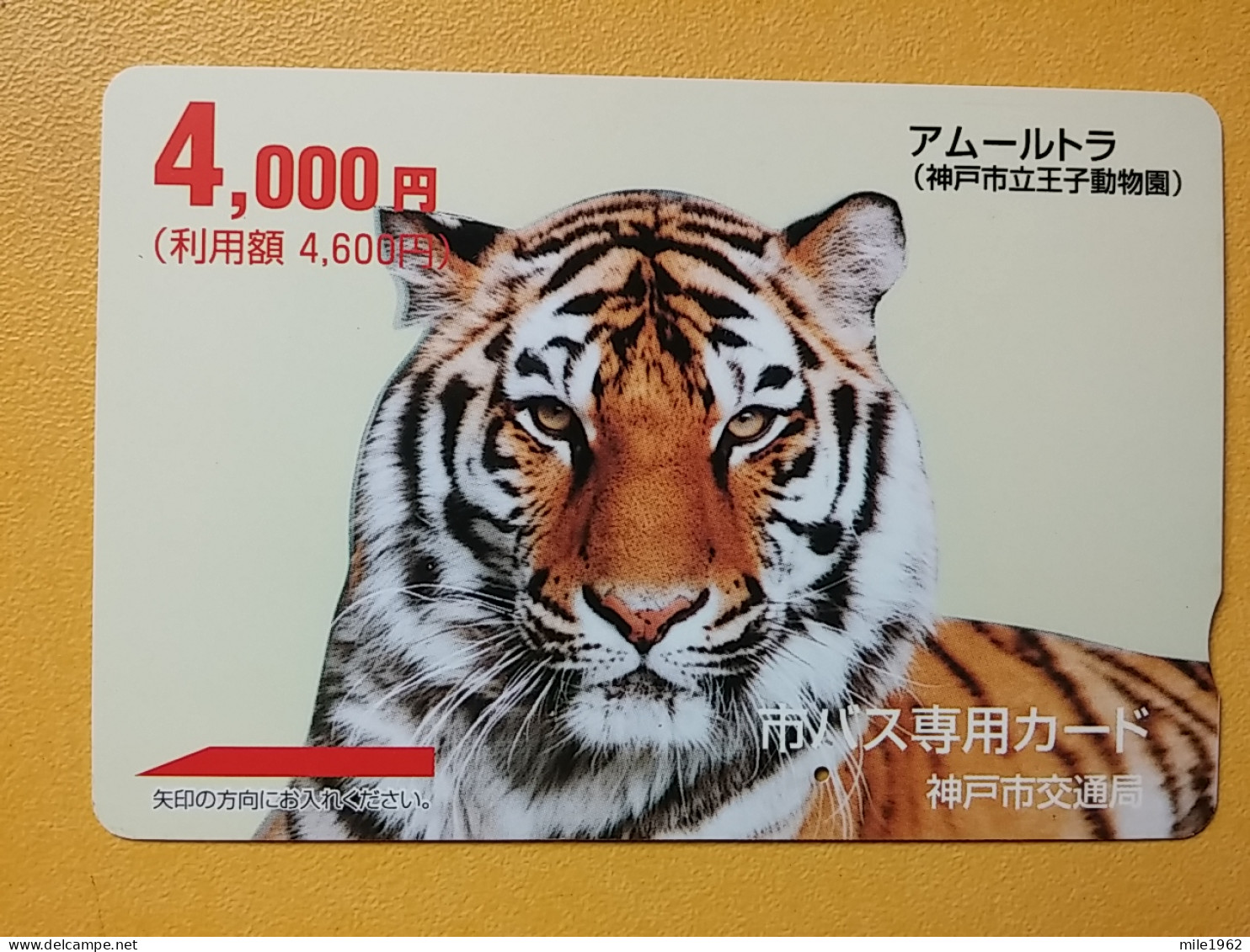 T-428 - JAPAN, Japon, Nipon, Carte Prepayee, Prepaid, Animal Tiger, Tigre - Giungla