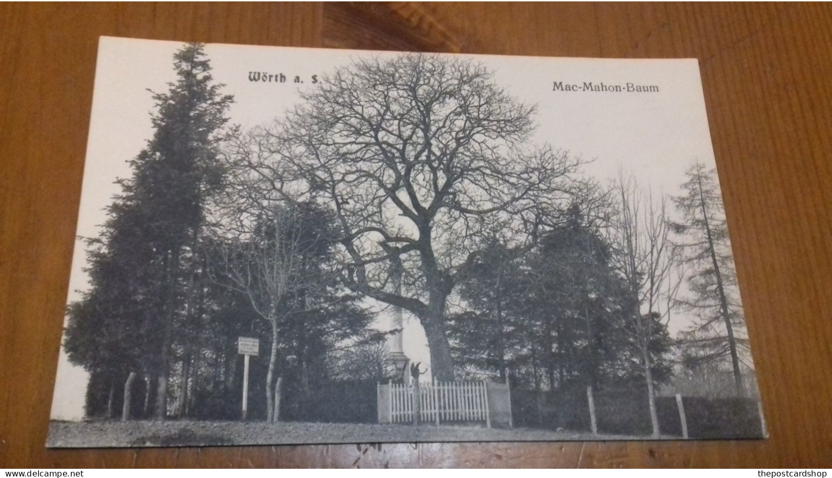 FRANCE WAR MEMORIAL TREE Woerth Wörth A. S Mac Mahon Baum Mit Armeedenkmal Arbre De Mac Mahon Avec Mémorial De L'armée - Woerth