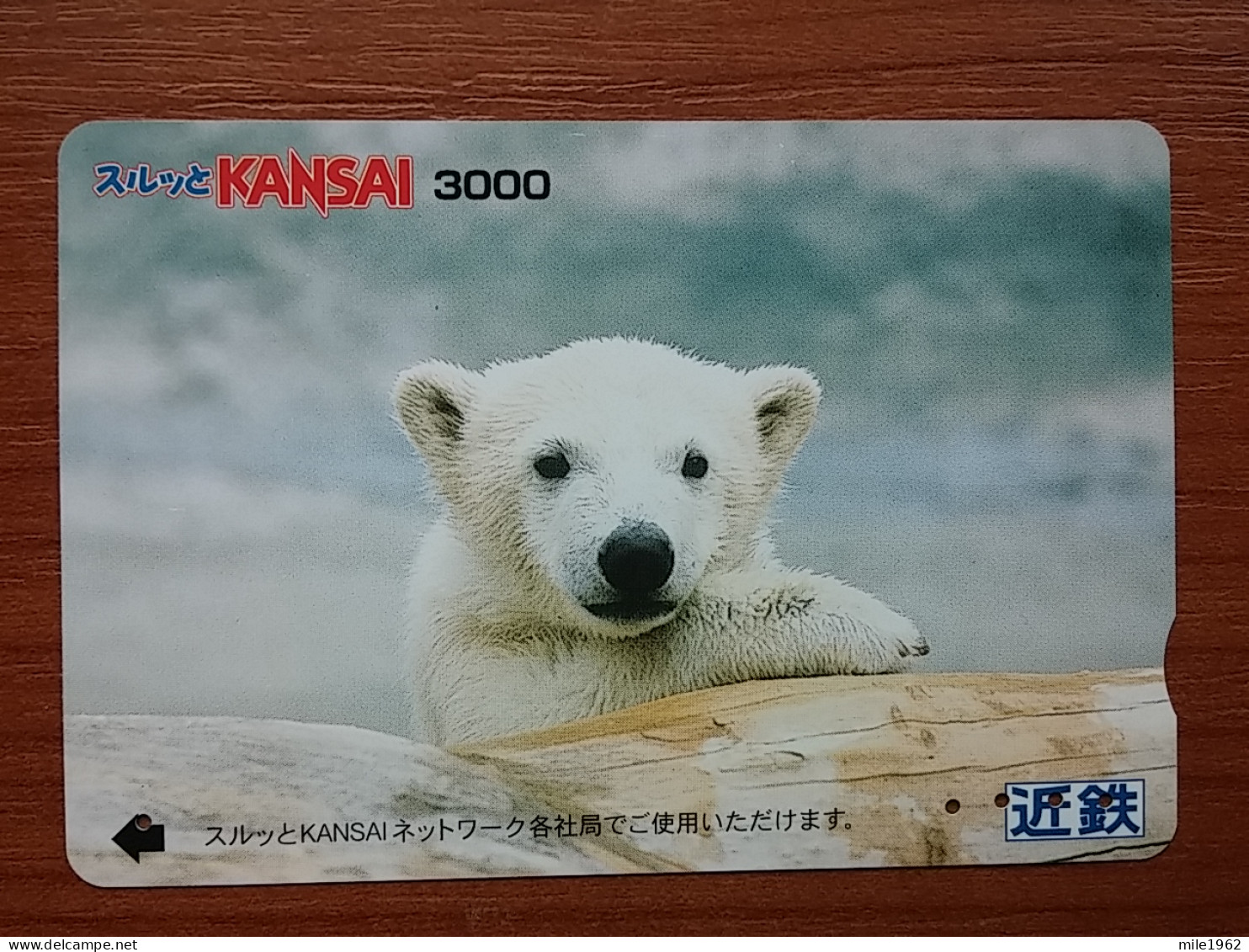 T-428-2 - JAPAN, Japon, Nipon, Carte Prepayee, Prepaid, Animal, Bear, Ours - Altri & Non Classificati