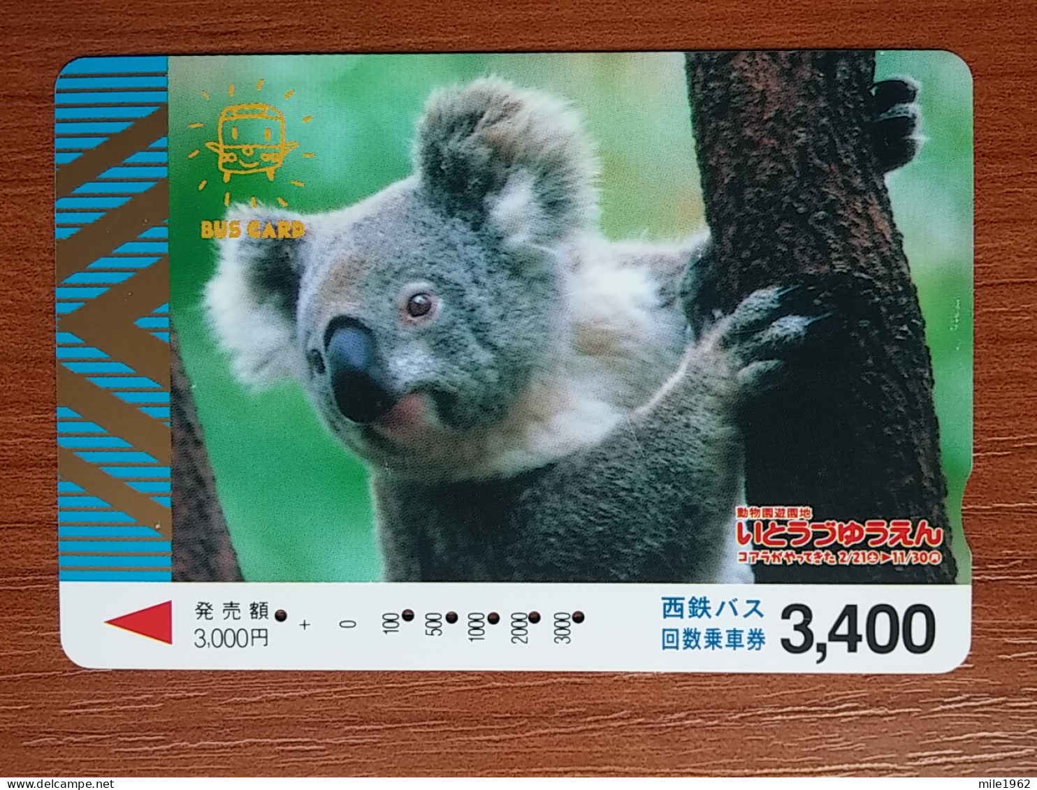 T-428-2 - JAPAN, Japon, Nipon, Carte Prepayee, Prepaid, Animal, Bear, Ours - Sonstige & Ohne Zuordnung