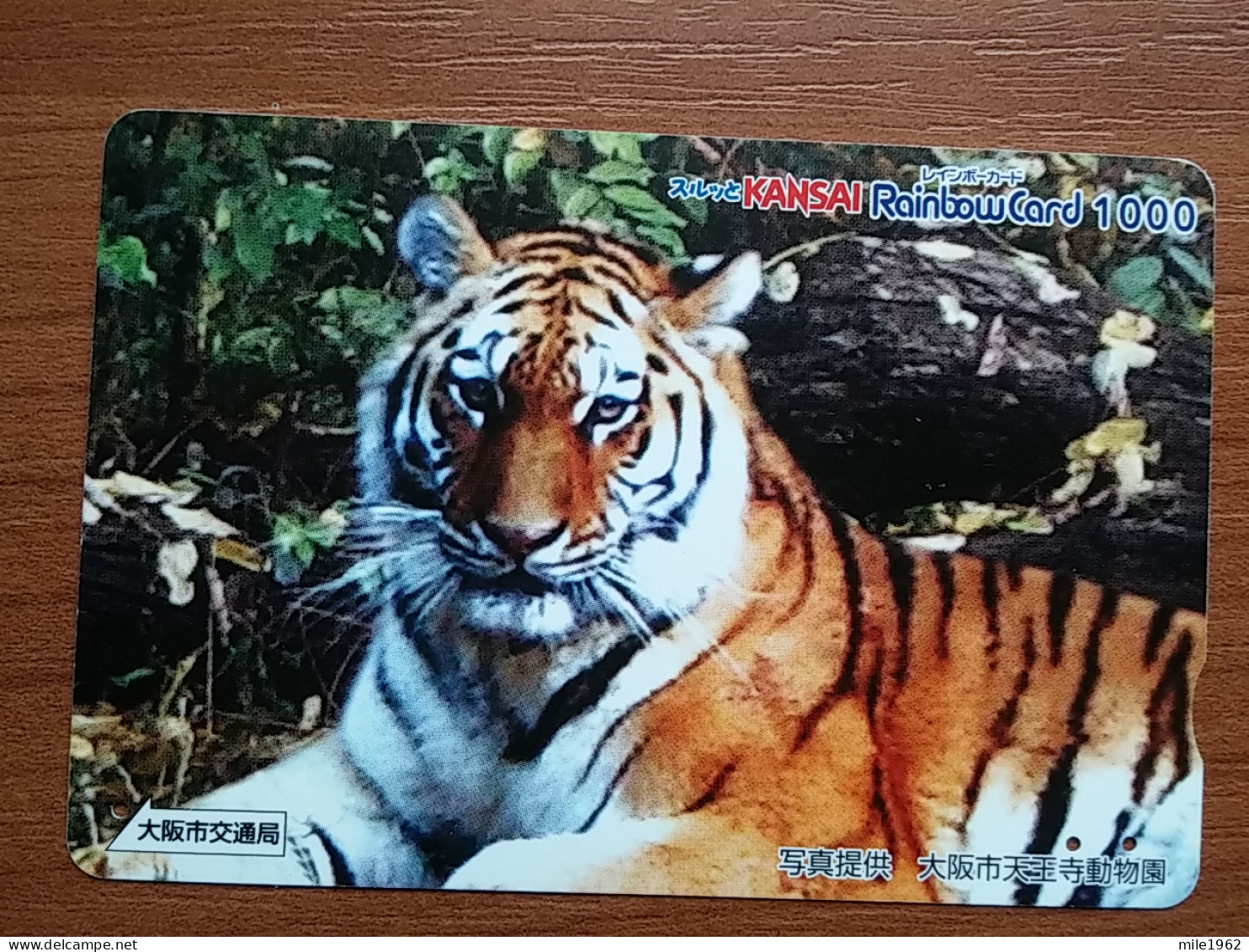 T-429 - JAPAN, Japon, Nipon, Carte Prepayee, Prepaid, Animal,  - Altri & Non Classificati