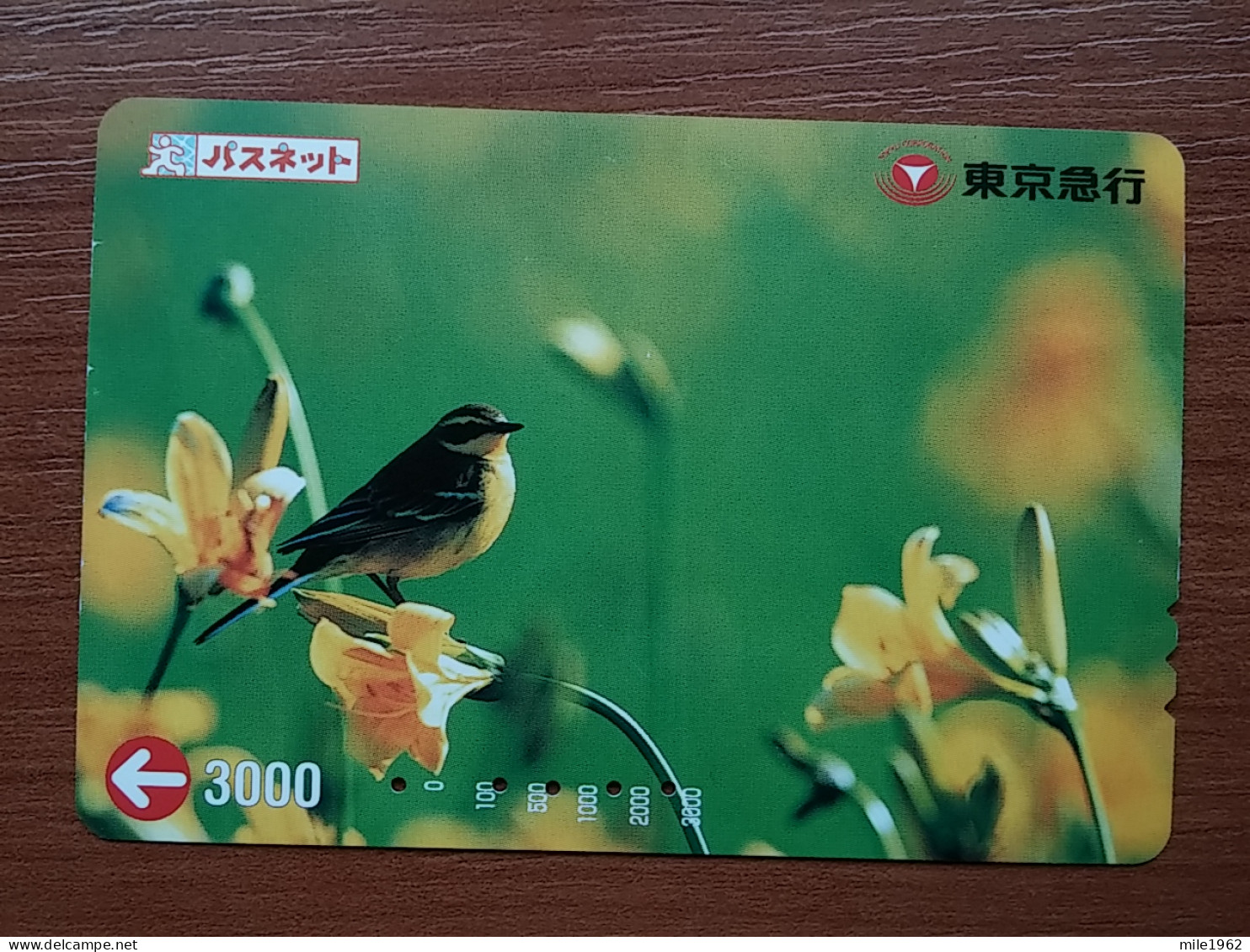 T-430 - JAPAN, Japon, Nipon, Carte Prepayee, Prepaid, Animal, Bird, Oiseau - Otros & Sin Clasificación