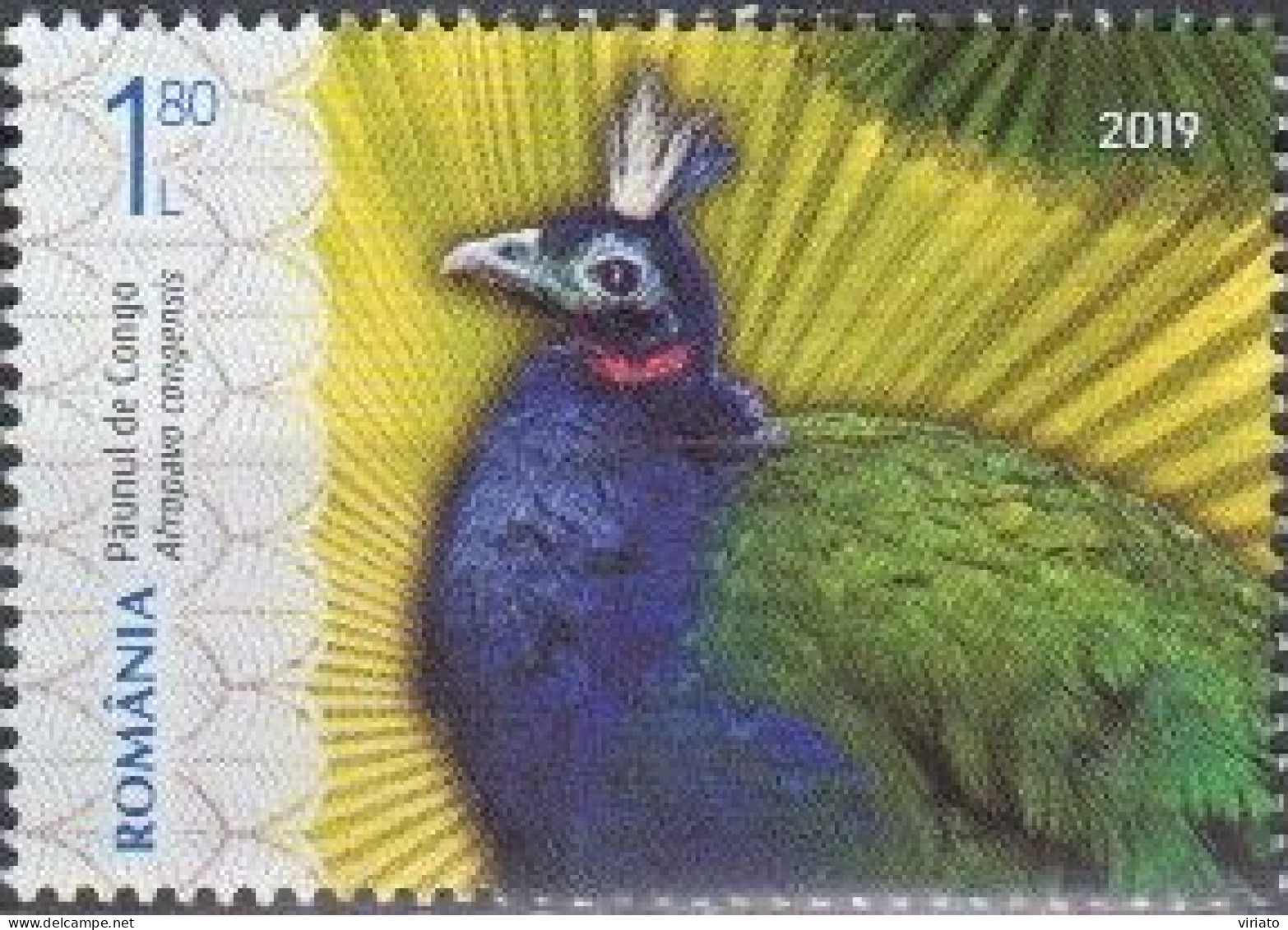 Romenia 2019 (AVE175) (MNH) Mi 7553) - Congo Peafowl (Afropavo Congensis) - Paons