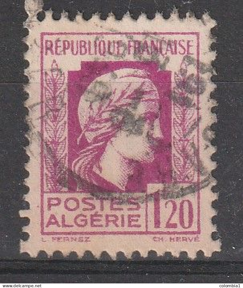 ALGERIE YT 213  Oblitéré - Used Stamps