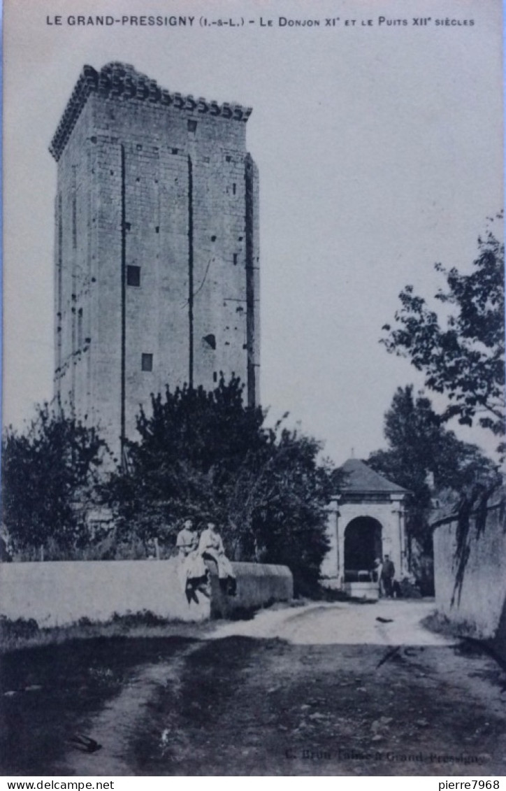 LE GRAND-PRESSIGNY (Indre Et Loire) : Le Donjon Et Le Puits - Le Grand-Pressigny