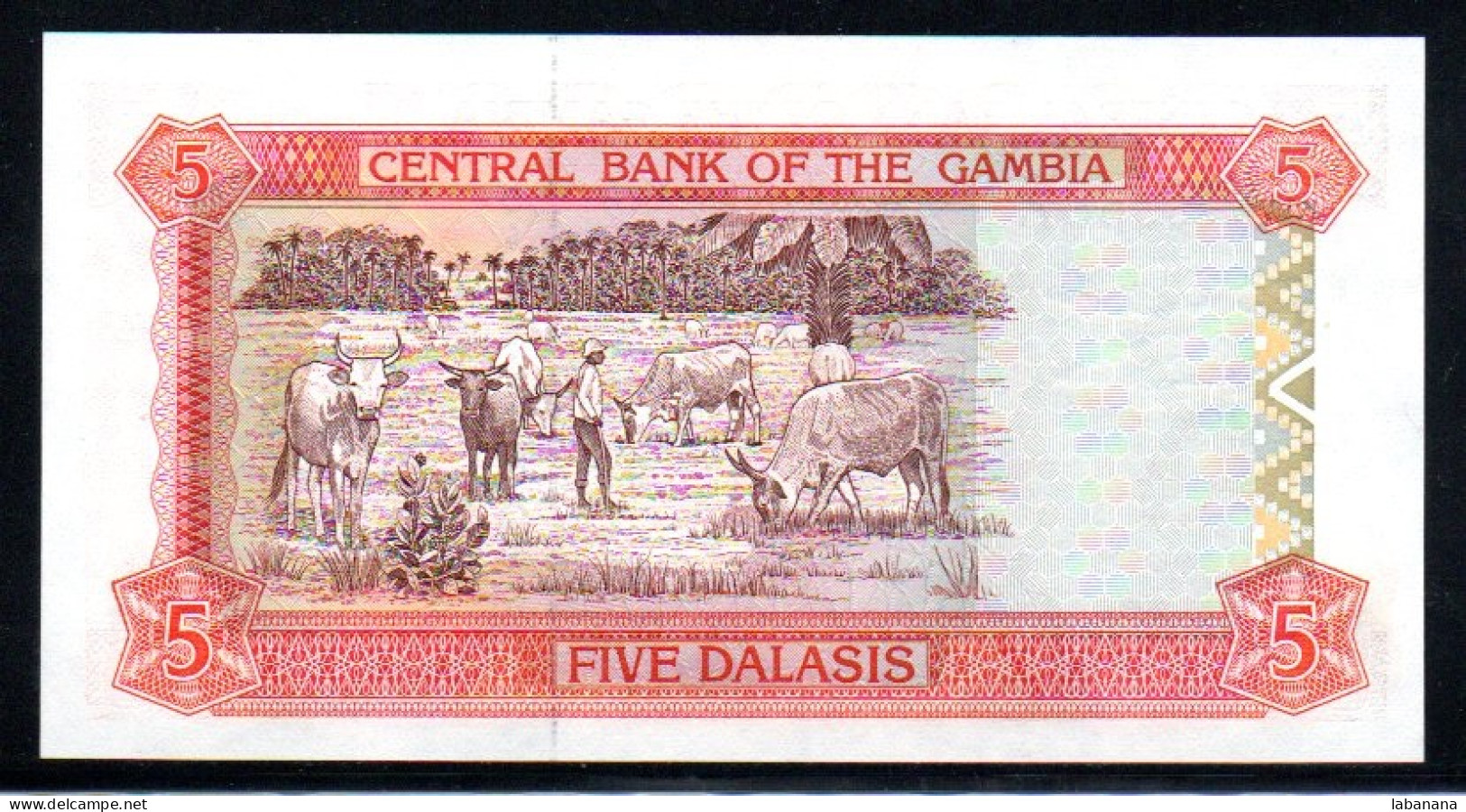 659-Gambie 5 Dalasis 1996 C453 Neuf/unc - Gambia