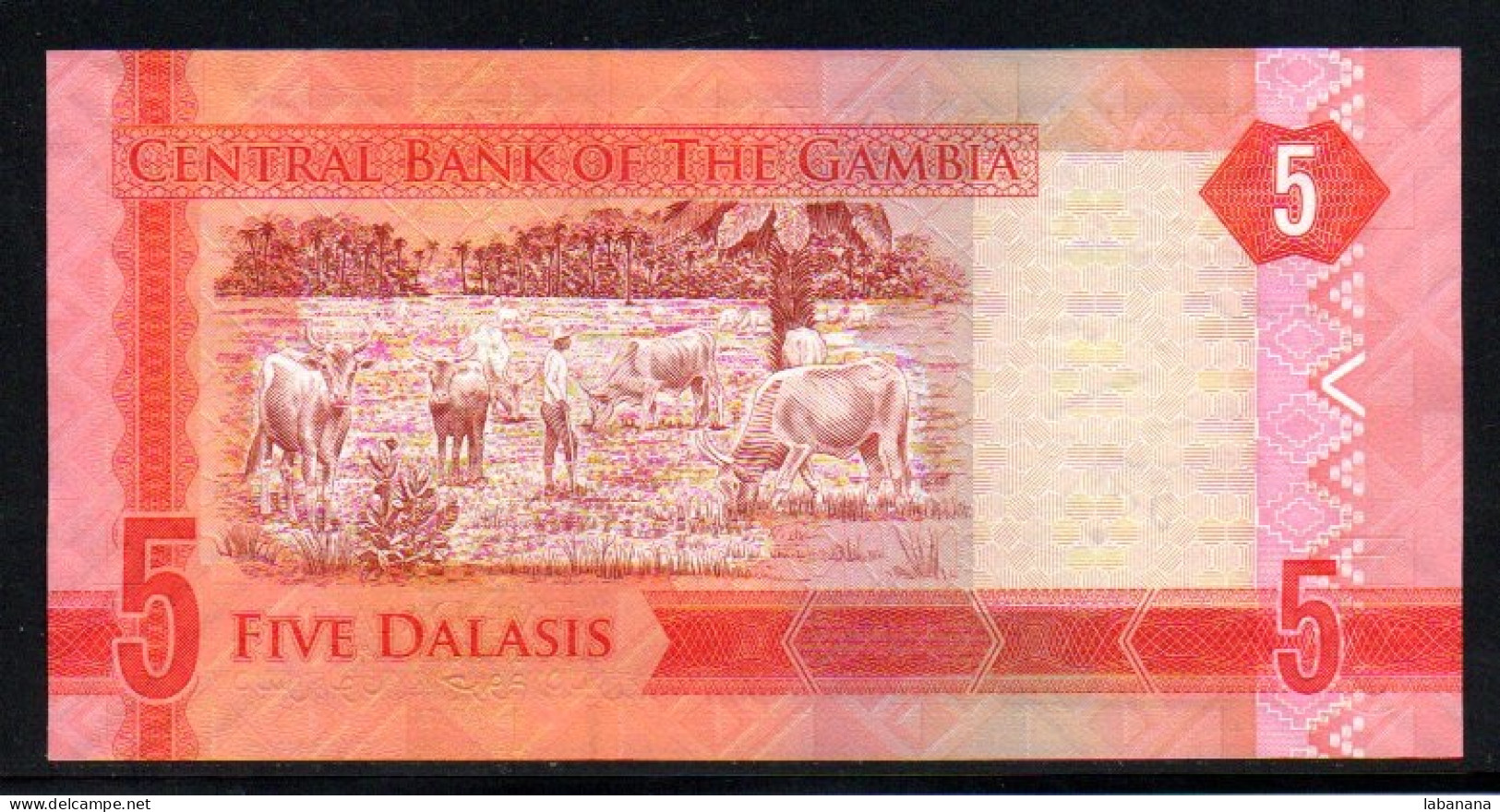 659-Gambie 5 Dalasis 2015 A038 Neuf/unc - Gambia