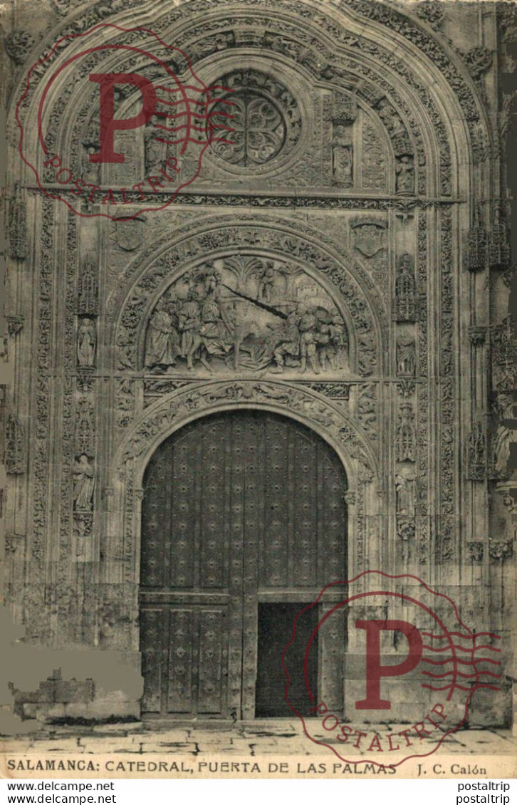 Salamanca Catedral Puerta De Las Palmas Castilla Y León. España Spain - Salamanca