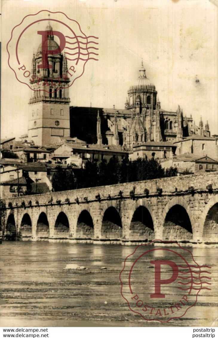 Salamanca Puente Romano Y Catedral Castilla Y León. España Spain - Salamanca