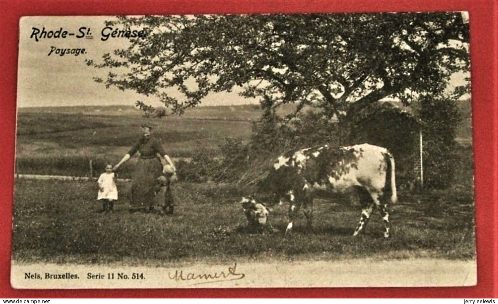 ST GENESIUS RODE - RHODE ST GENESE  - Landschap  -  Paysage - 1904   - - Rhode-St-Genèse - St-Genesius-Rode
