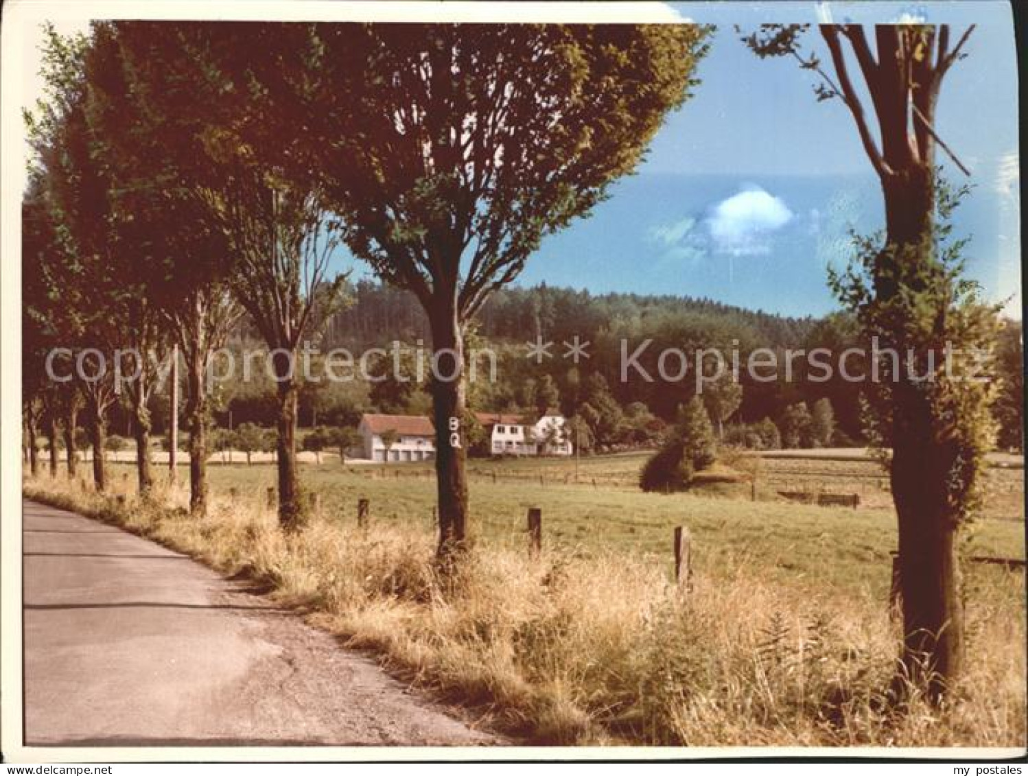 42160784 Wellingholzhausen Landstrasse Allee Wellingholzhausen - Melle