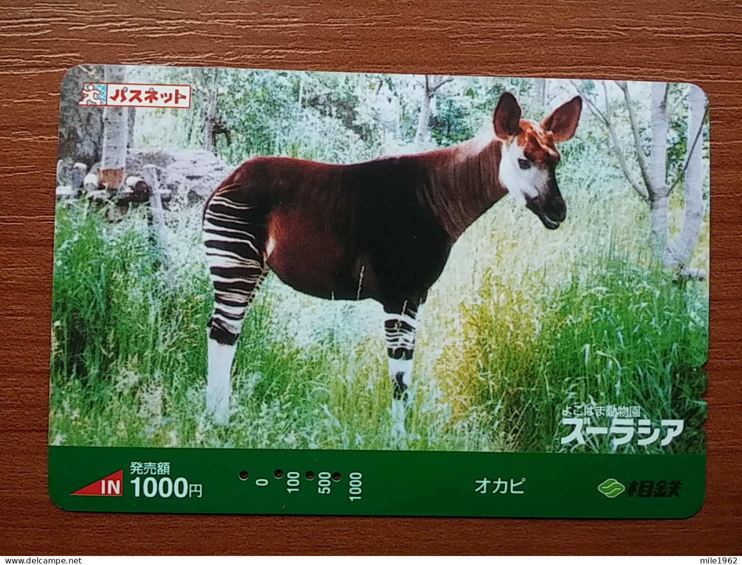 T-429 - JAPAN, Japon, Nipon, Carte Prepayee, Prepaid, Animal,  - Autres & Non Classés