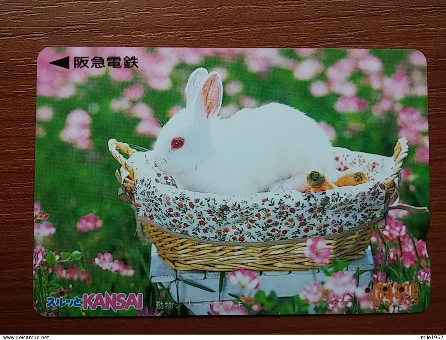 T-429 - JAPAN, Japon, Nipon, Carte Prepayee, Prepaid, Animal, Rabbit, Lapin - Rabbits