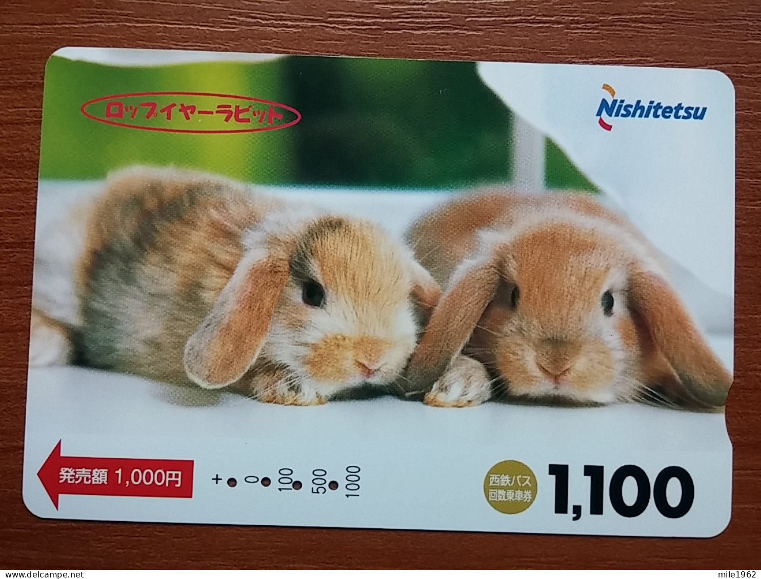 T-429 - JAPAN, Japon, Nipon, Carte Prepayee, Prepaid, Animal, Rabbit, Lapin - Kaninchen