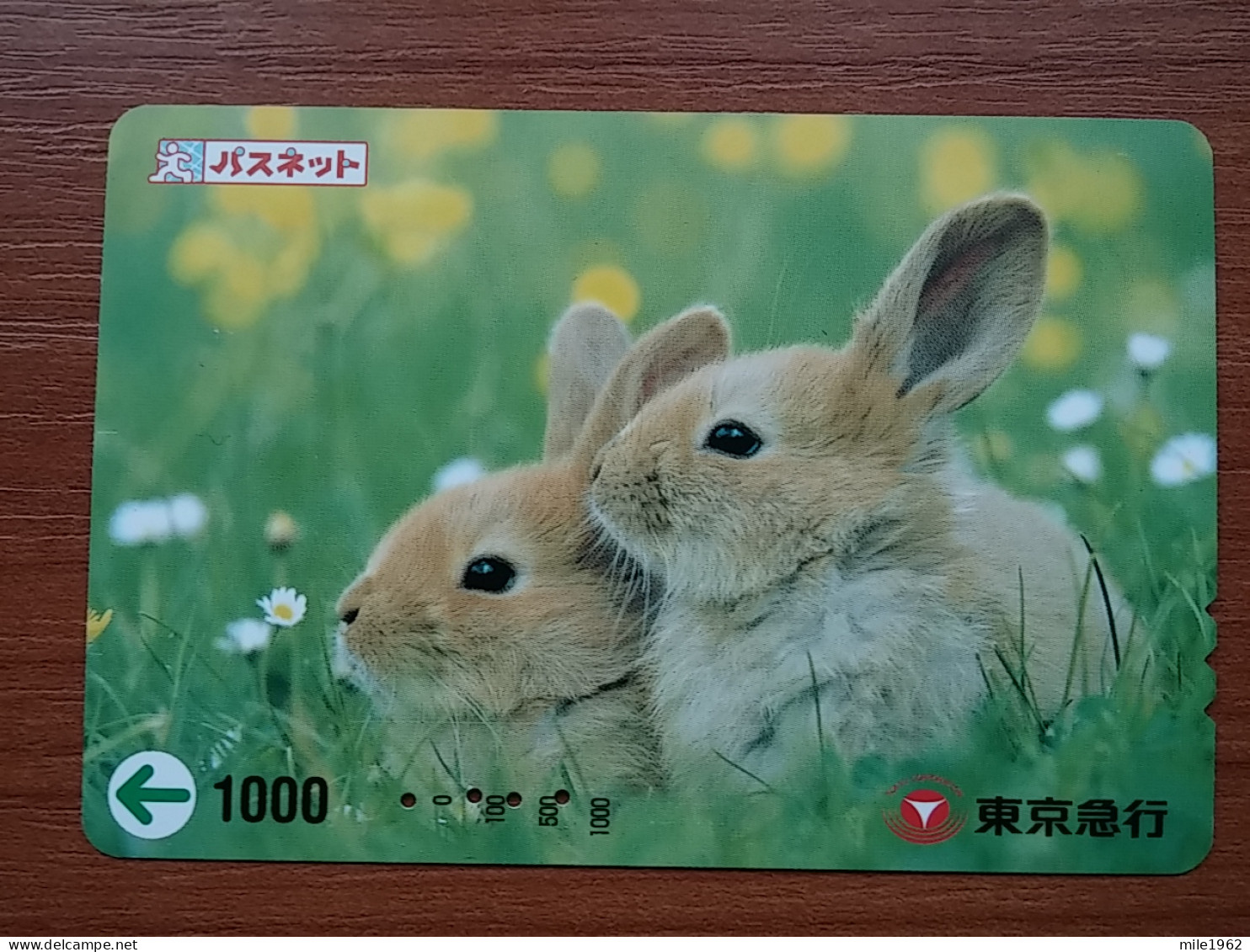 T-430 - JAPAN, Japon, Nipon, Carte Prepayee, Prepaid, Animal, Rabbit, Lapin - Konijnen