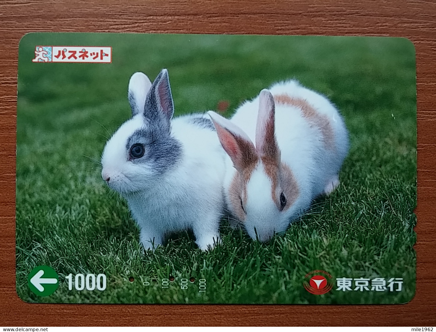 T-430 - JAPAN, Japon, Nipon, Carte Prepayee, Prepaid, Animal, Rabbit, Lapin - Konijnen