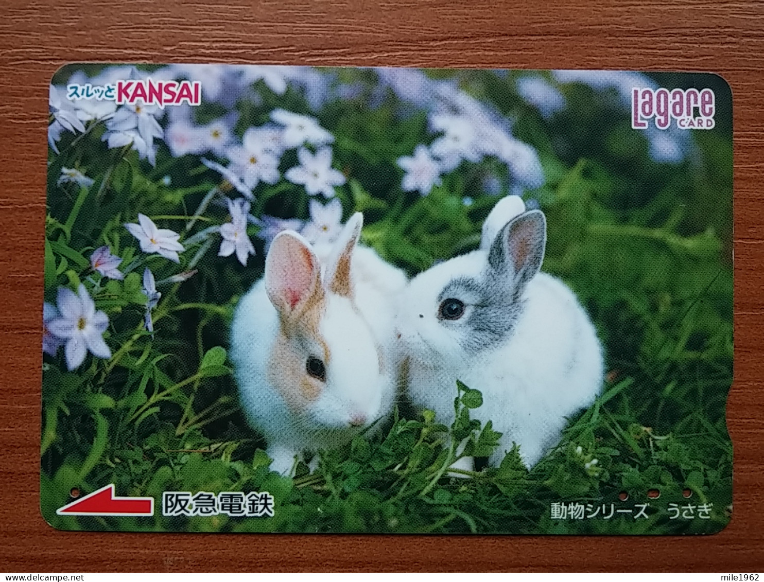 T-430 - JAPAN, Japon, Nipon, Carte Prepayee, Prepaid, Animal, Rabbit, Lapin - Konijnen