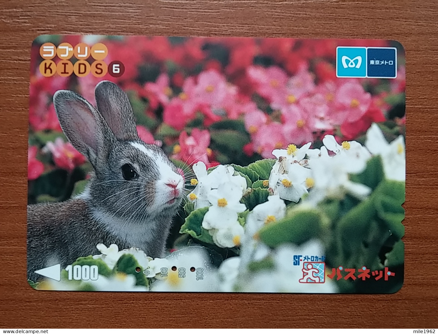 T-430 - JAPAN, Japon, Nipon, Carte Prepayee, Prepaid, Animal, Rabbit, Lapin - Conejos