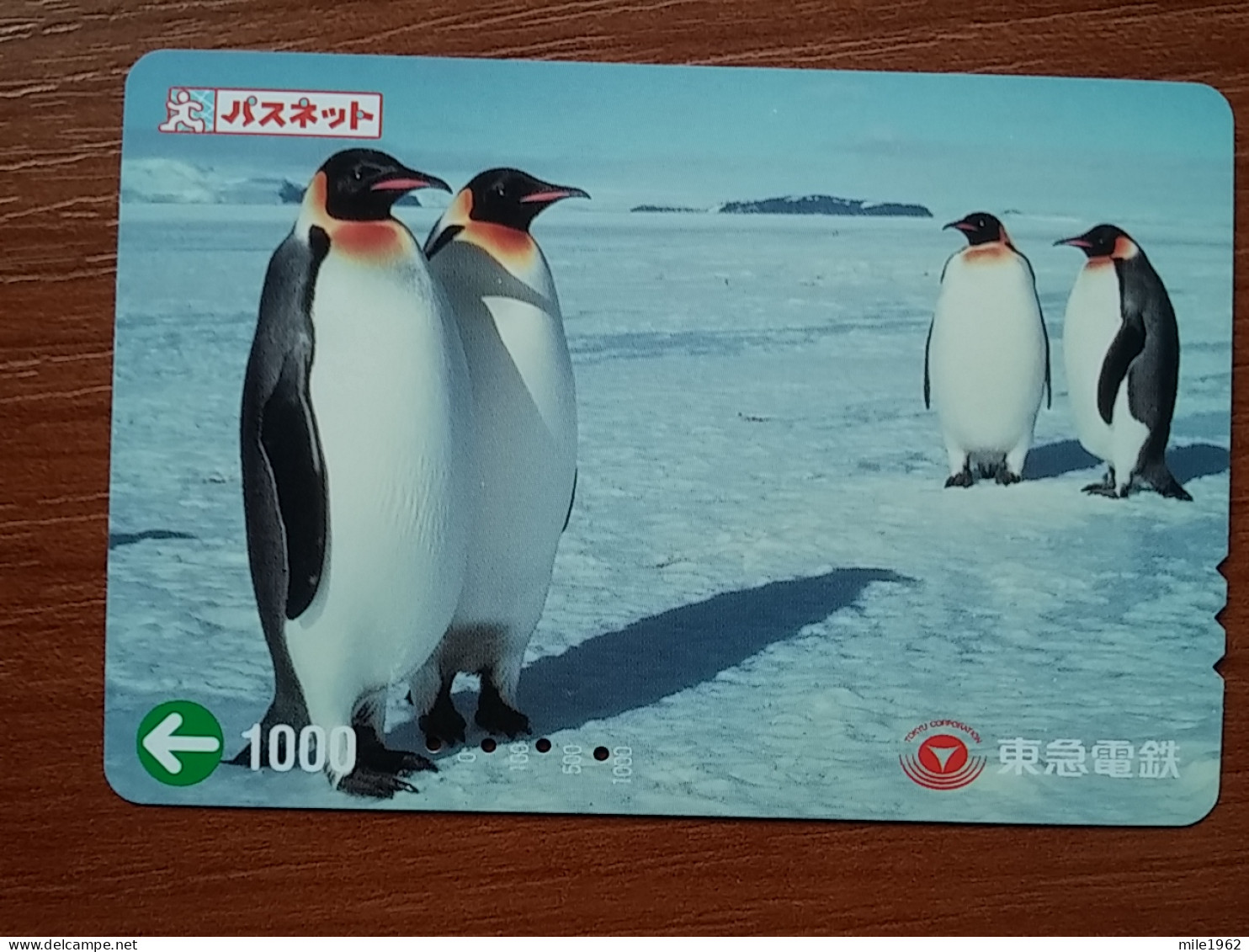 T-431 - JAPAN, Japon, Nipon, Carte Prepayee, Prepaid, Animal, Penguin - Other & Unclassified