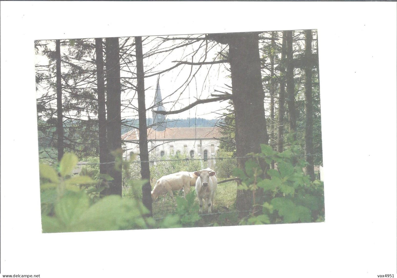 ROYBON  ABBAYE NOTRE DAME DE CHAMBARAND    THEME VACHES       ****    RARE    A  SAISIR **** - Roybon