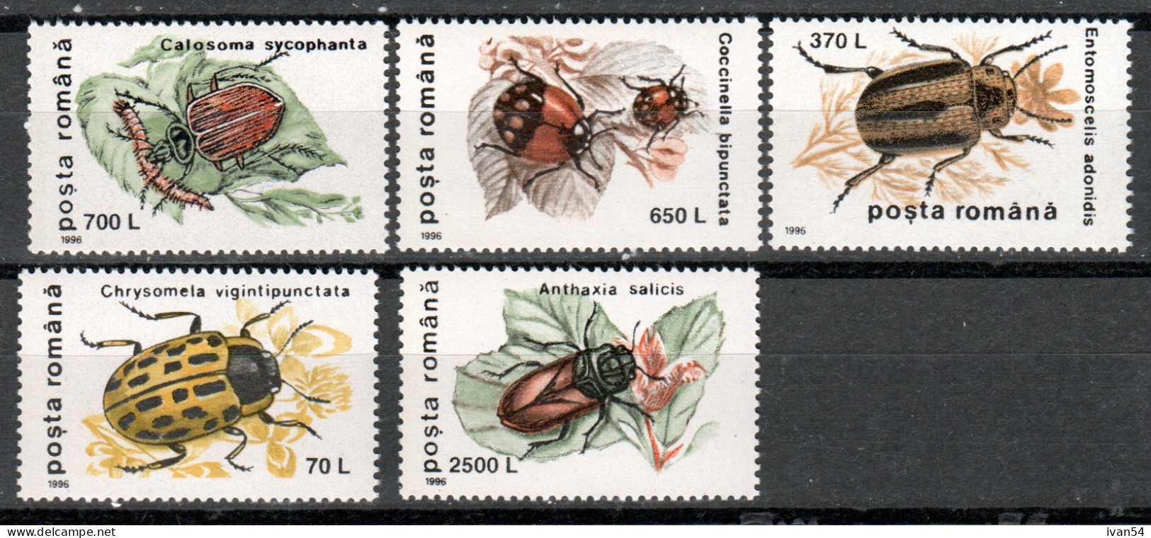 ROUMANIE 4329-33 ** MNH (1996) – INSECTES - Ungebraucht