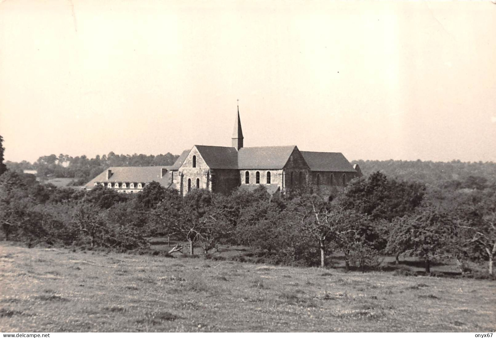 Carte Postale Photo LE GENEST SAINT ISLE-53-Mayenne-Les Amis De Clairmont-Abbaye De Clairmont - Le Genest Saint Isle