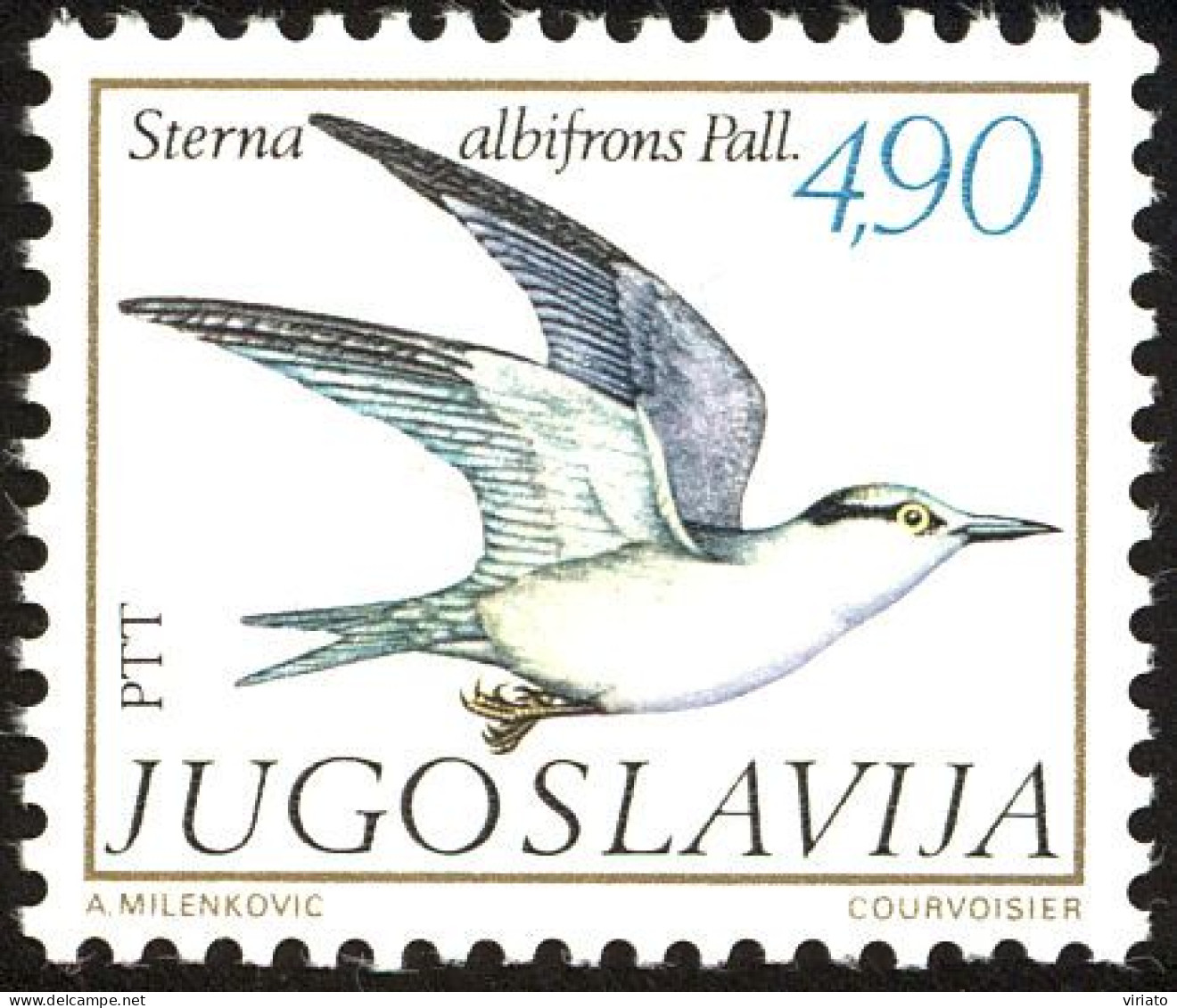 Yugoslavia 1980 (AVE191) (MNH)  (Mi 1836) - Little Tern (Sternula Albifrons) - Gaviotas