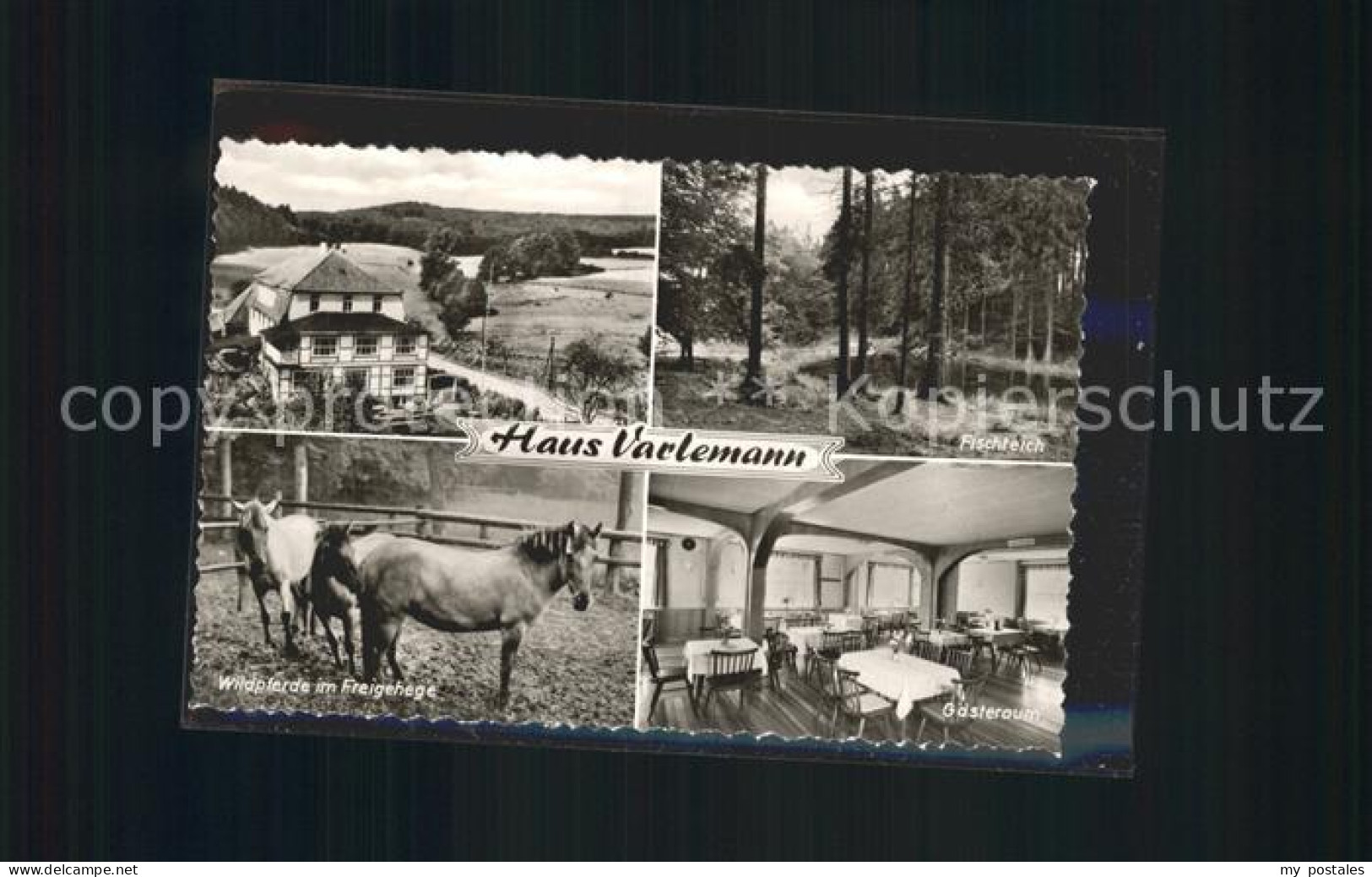 42155018 Hardehausen Gast Pensionshaus Wildpferde Freigehege Gaesteraum Fischtei - Warburg