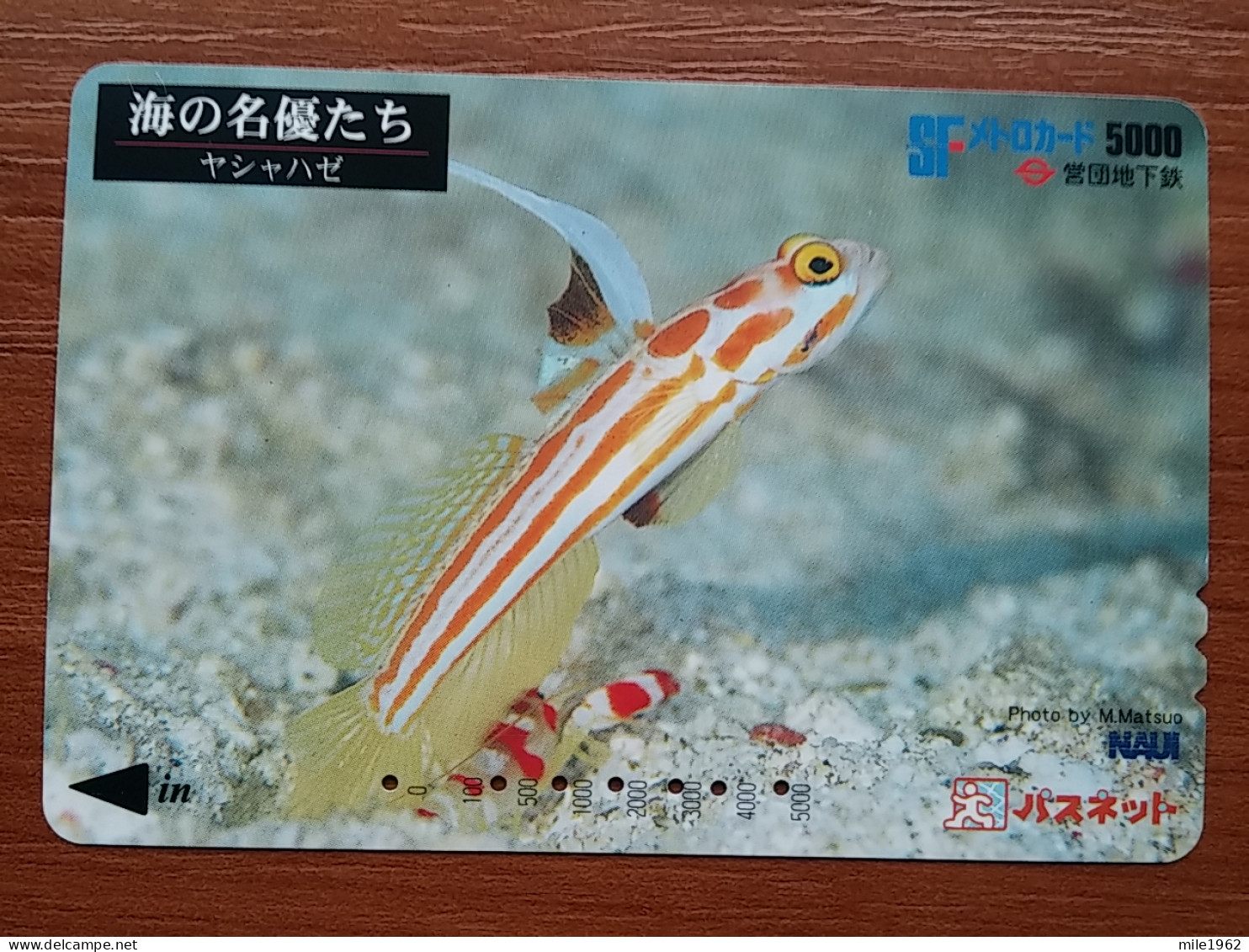 T-442 - JAPAN, Japon, Nipon, Carte Prepayee, Prepaid Card, Animal, Fish, Poison - Andere & Zonder Classificatie