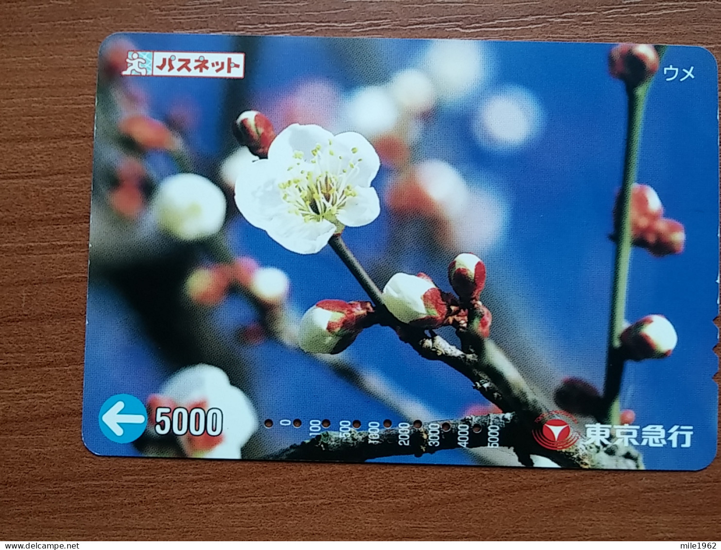 T-445 - JAPAN, Japon, Nipon, Carte Prepayee, Prepaid Card, FLOWER, FLEUR - Fleurs