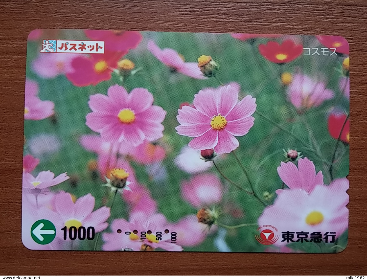 T-446 - JAPAN, Japon, Nipon, Carte Prepayee, Prepaid Card, FLOWER, FLEUR - Bloemen