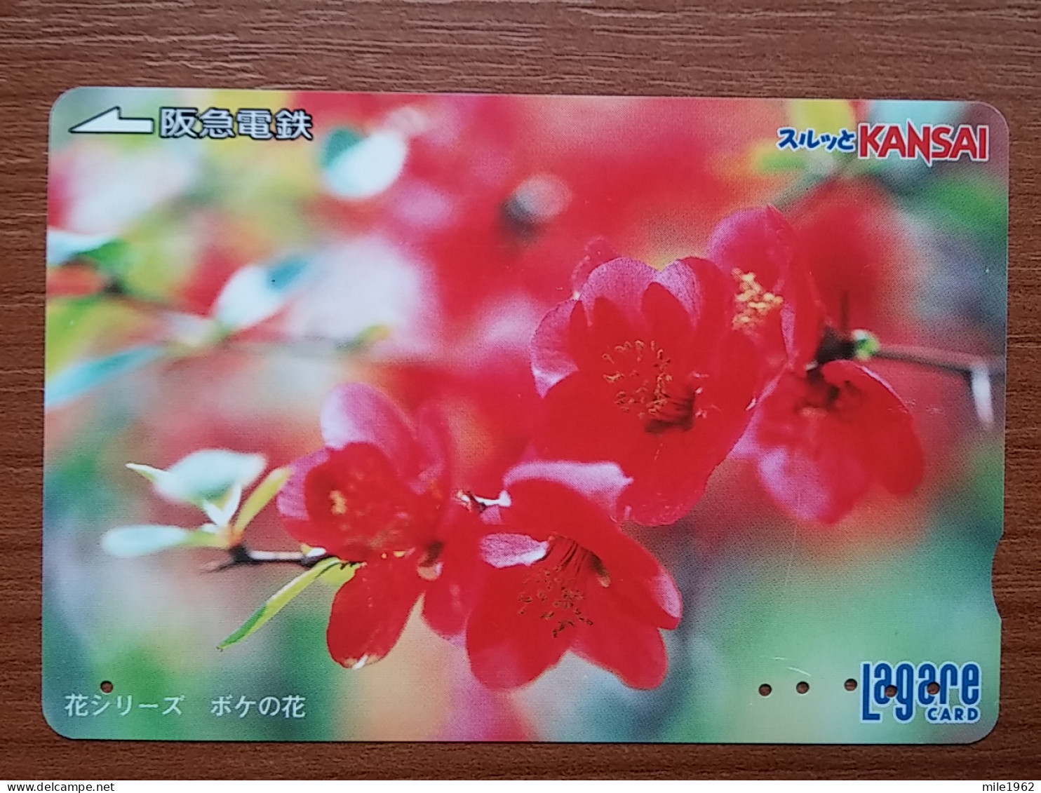 T-446 - JAPAN, Japon, Nipon, Carte Prepayee, Prepaid Card, FLOWER, FLEUR - Fiori