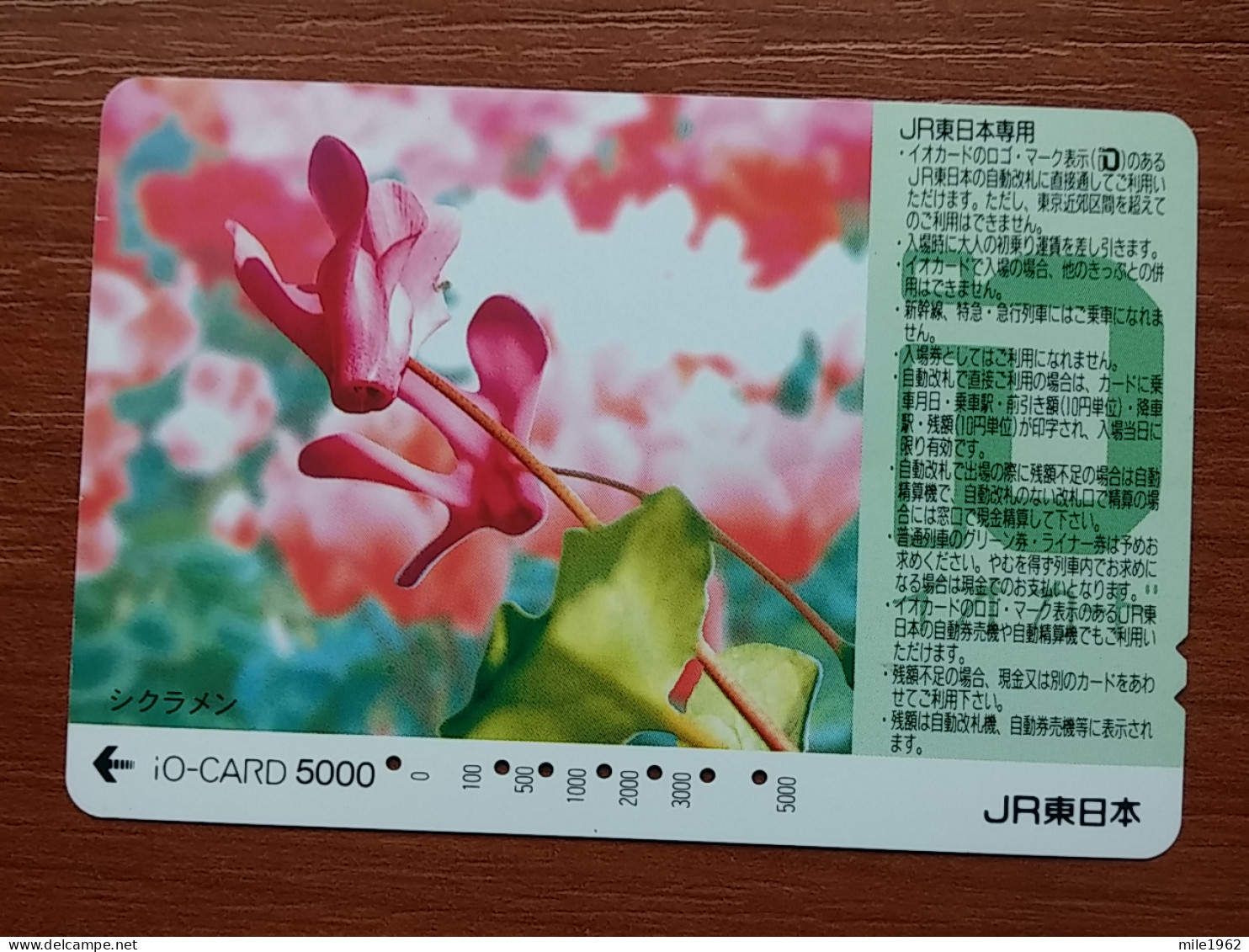 T-446 - JAPAN, Japon, Nipon, Carte Prepayee, Prepaid Card, FLOWER, FLEUR - Fleurs