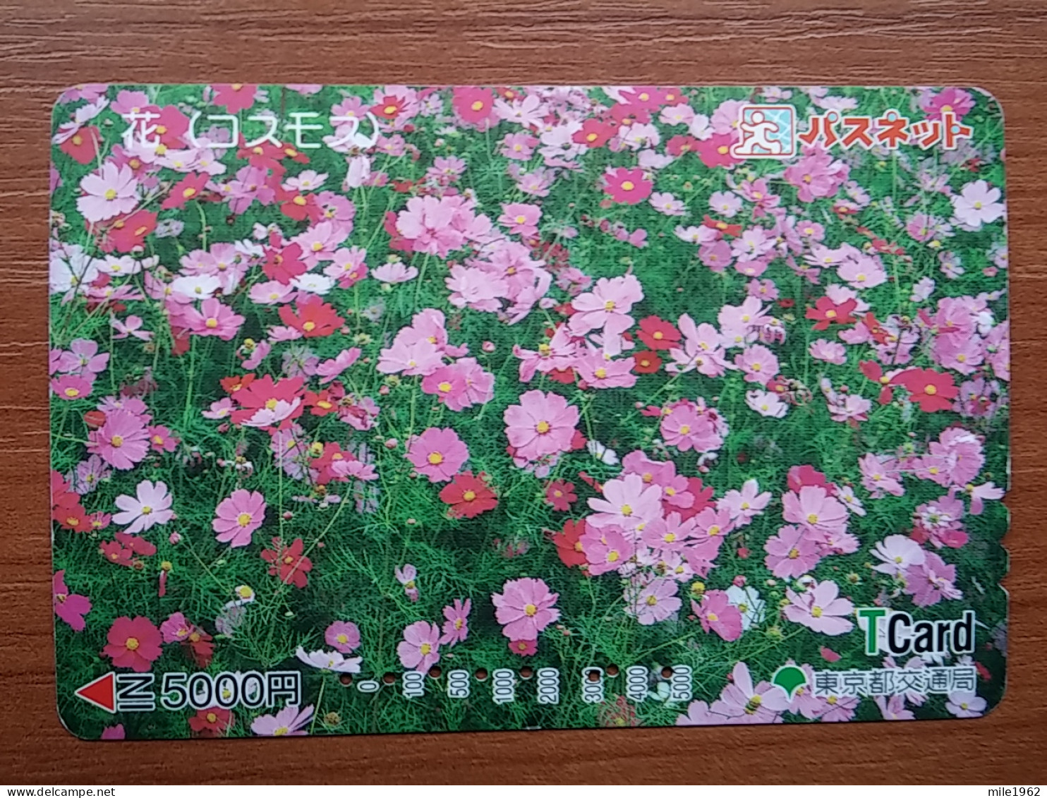 T-446 - JAPAN, Japon, Nipon, Carte Prepayee, Prepaid Card, FLOWER, FLEUR - Blumen
