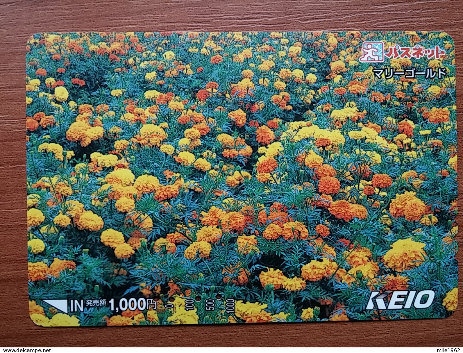 T-446 - JAPAN, Japon, Nipon, Carte Prepayee, Prepaid Card, FLOWER, FLEUR - Fiori