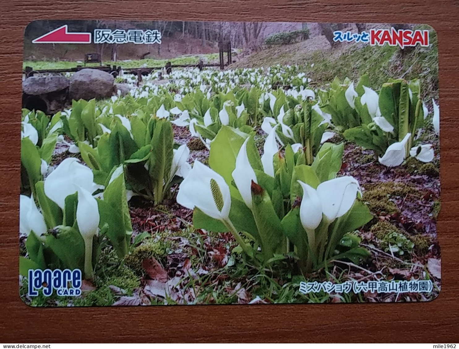 T-446 - JAPAN, Japon, Nipon, Carte Prepayee, Prepaid Card, FLOWER, FLEUR - Bloemen