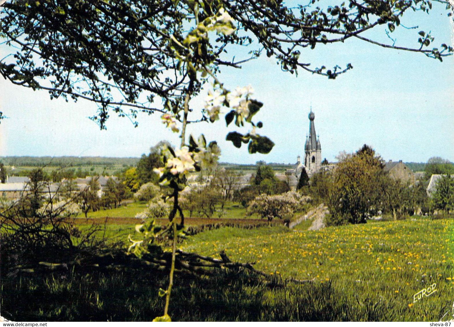 59 - Solre Le Château - Le Clocher Au Printemps - Solre Le Chateau